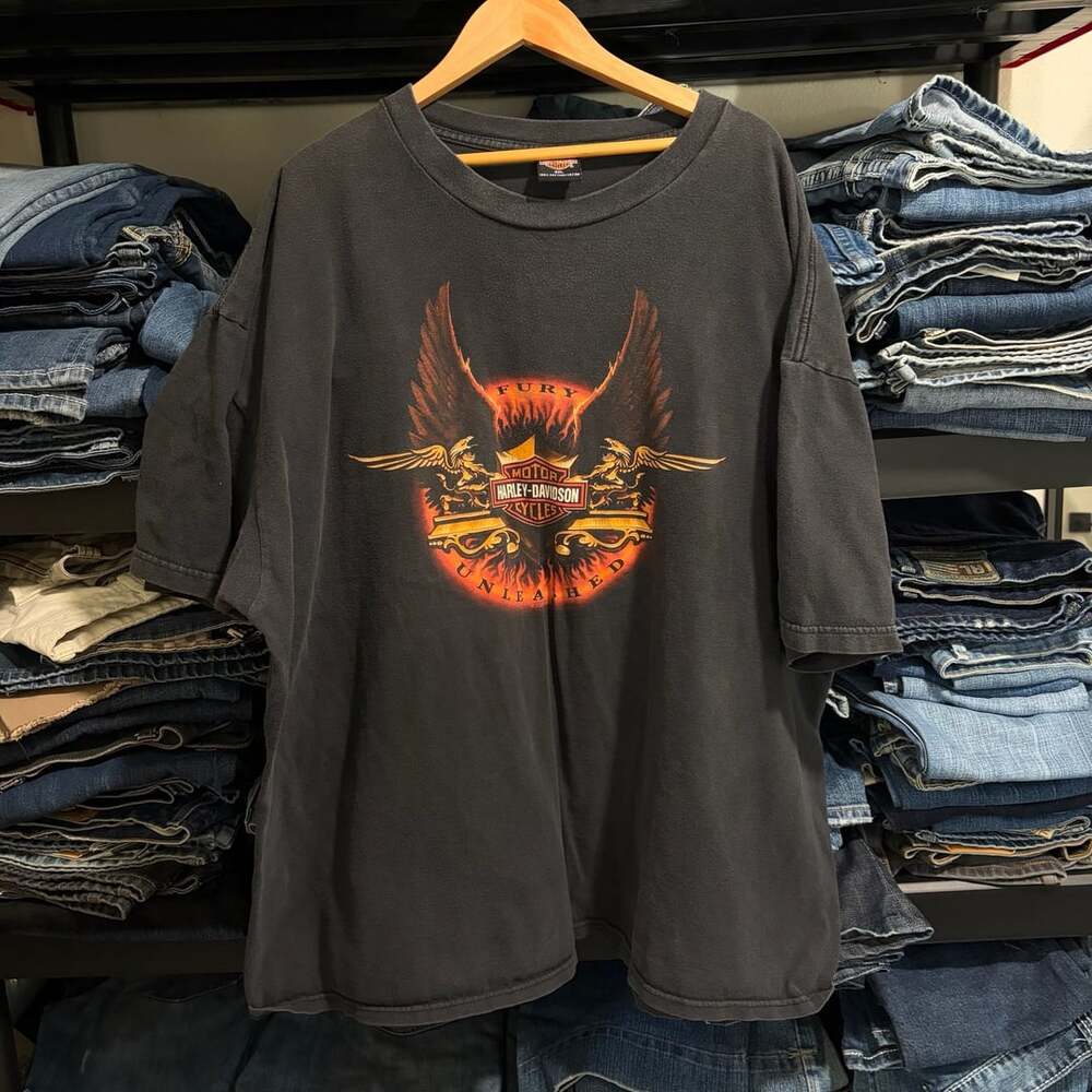 Vintage Harley-Davidson Fury Unleashed Chick's Albuquerque NM T-Shirt 3XL Black